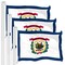 G128 3 Pack: West Virginia WV State Flag | 3x5 Ft | LiteWeave Pro Series Printed 150D Polyester | Indoor/Outdoor, Vibrant Colors, Brass Grommets, Thicker and More Durable Than 100D 75D Polyester